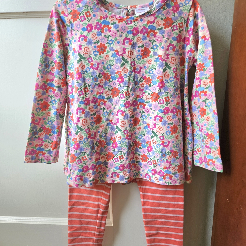 Hanna Andersson Floral Swing Top & Striped Leggings Bundle